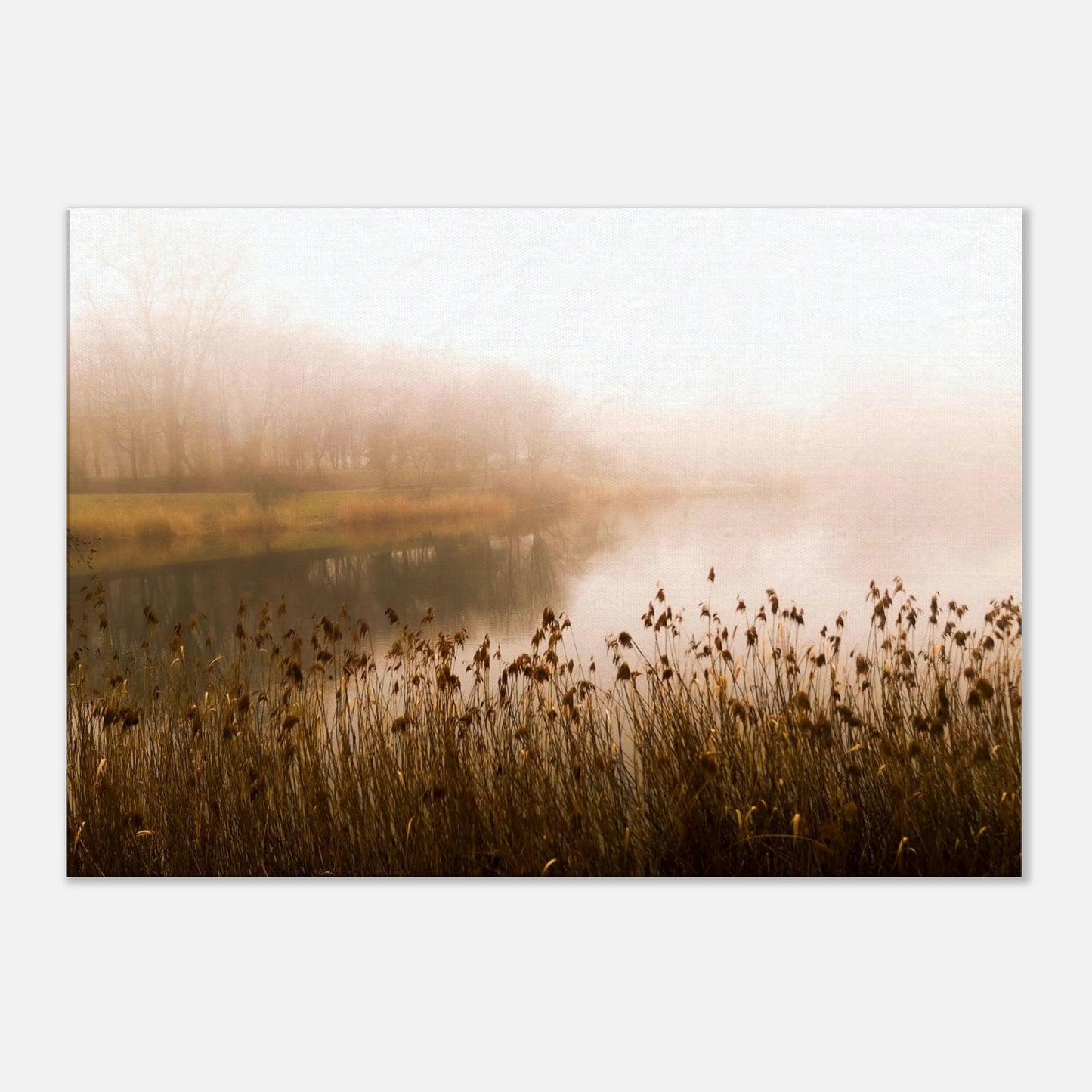 186d5a63-b22d-47af-8bbf-08539c942233