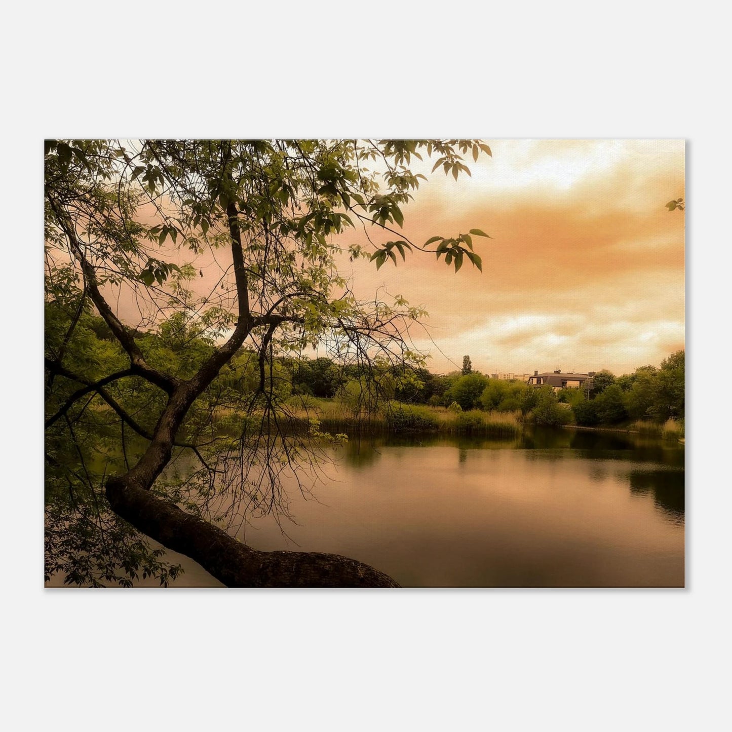 45685cd1-1831-45d2-b3b3-d1616e1d44b2