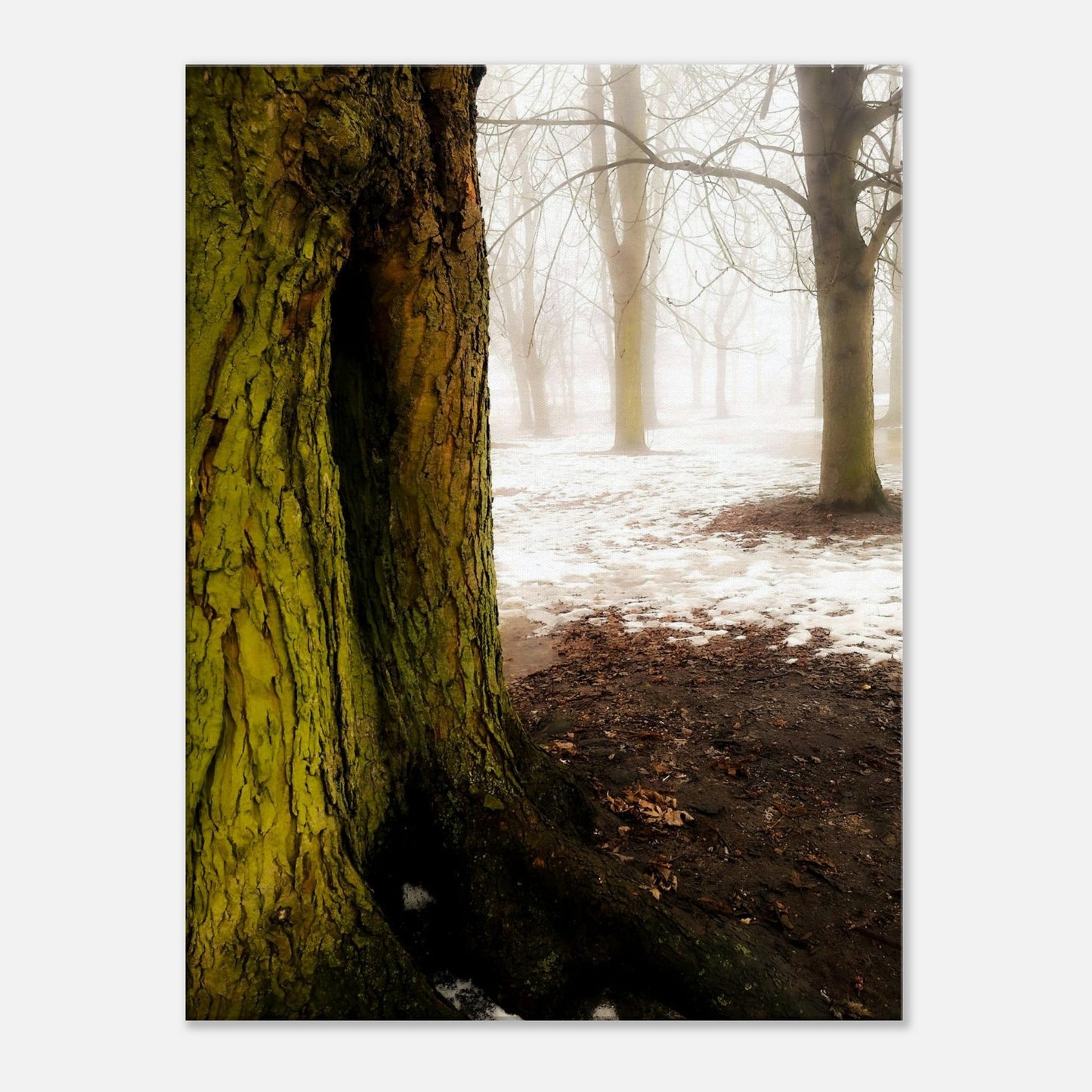 75ce0b20-4646-4404-ac0e-2d737230a01f