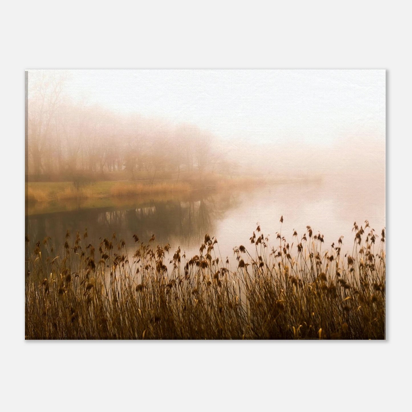 9f4866ee-2142-4b2b-bfa4-030dfcc8e995