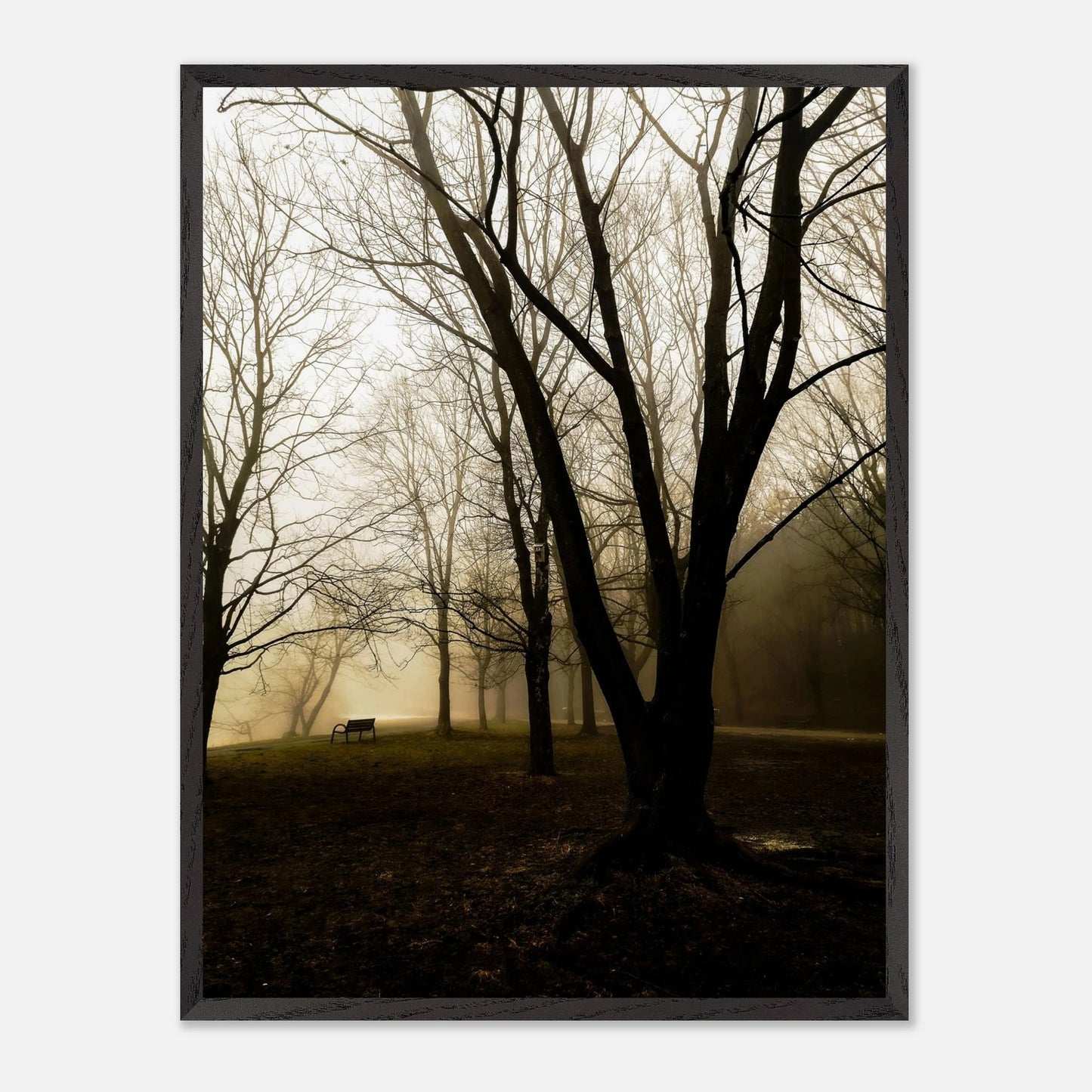 a7f70008-af94-42bd-a3f7-b0e136c24645