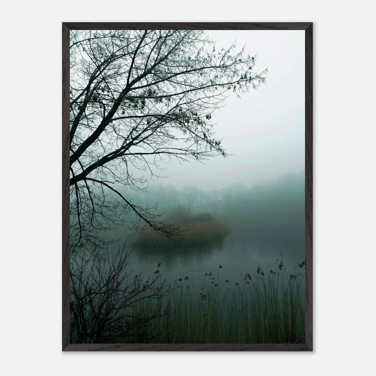 ad49c85c-fa05-413a-aaa1-45815ffeeb64