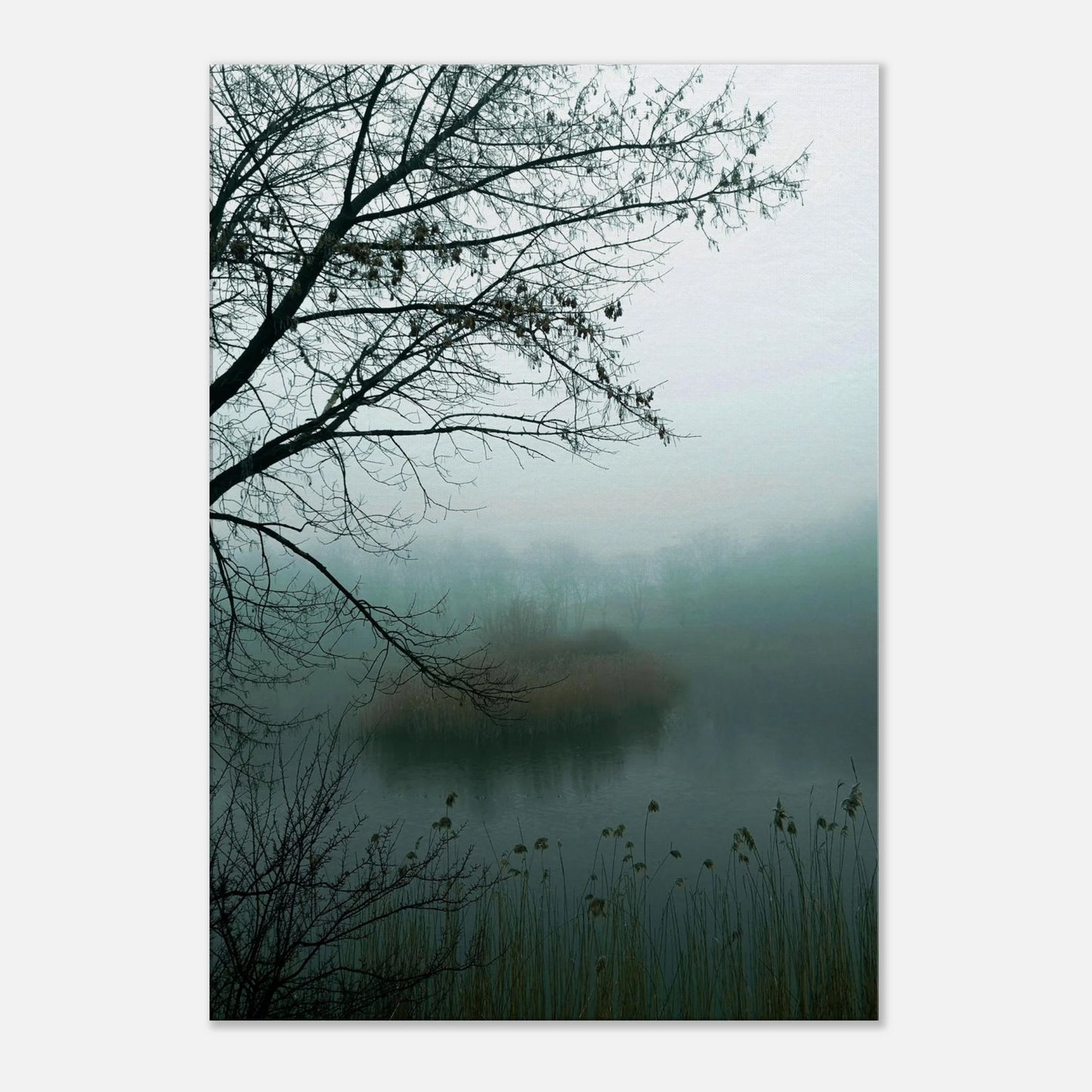 b4e7b362-9b67-462d-9bf9-b7ac8b03d066