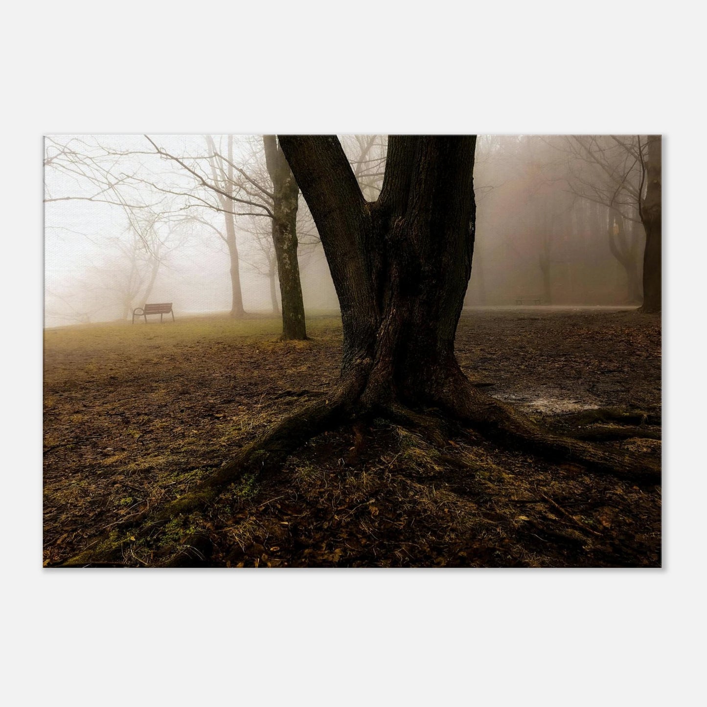 bf2eda34-3fe9-4471-8fd3-02010bf09ba6