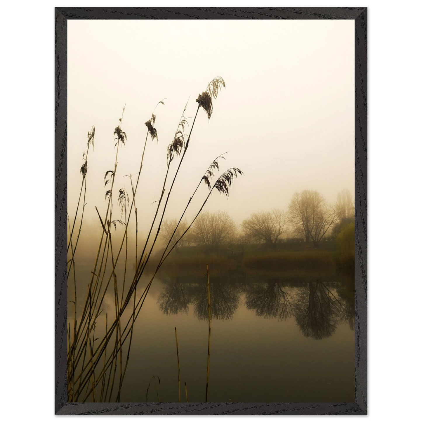 e07a8e2d-be81-4cdf-a427-8272bb3ddbff