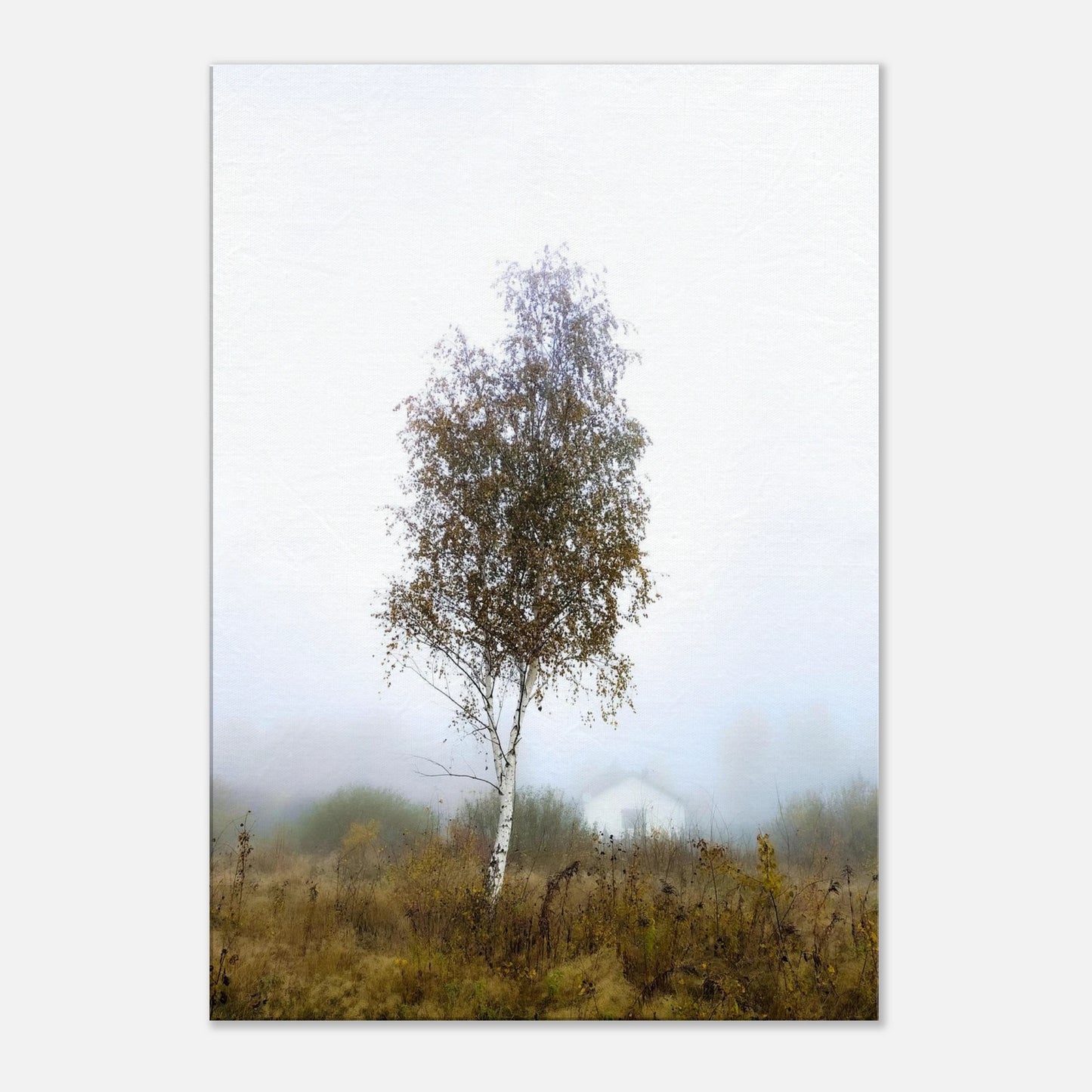 fe6b8de3-aaad-433c-a5dc-7abea79f33f0