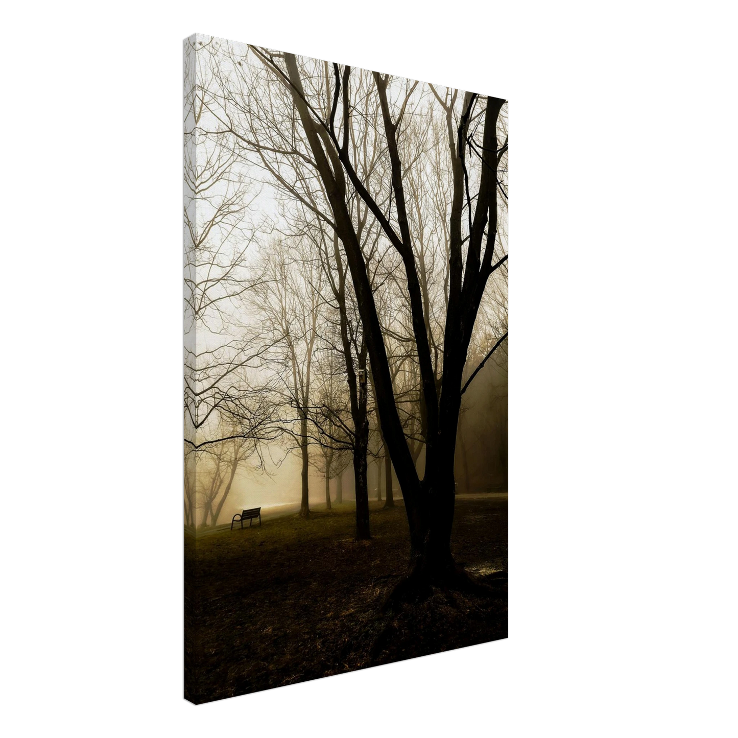 09f93735-c36e-4941-a8cd-fee8bec70a62