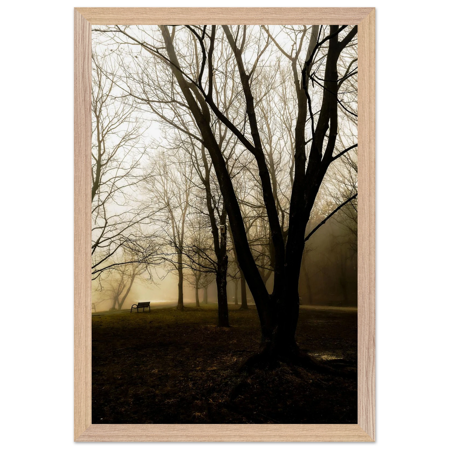 16861185-f8b1-4815-ab74-6905a3772c48