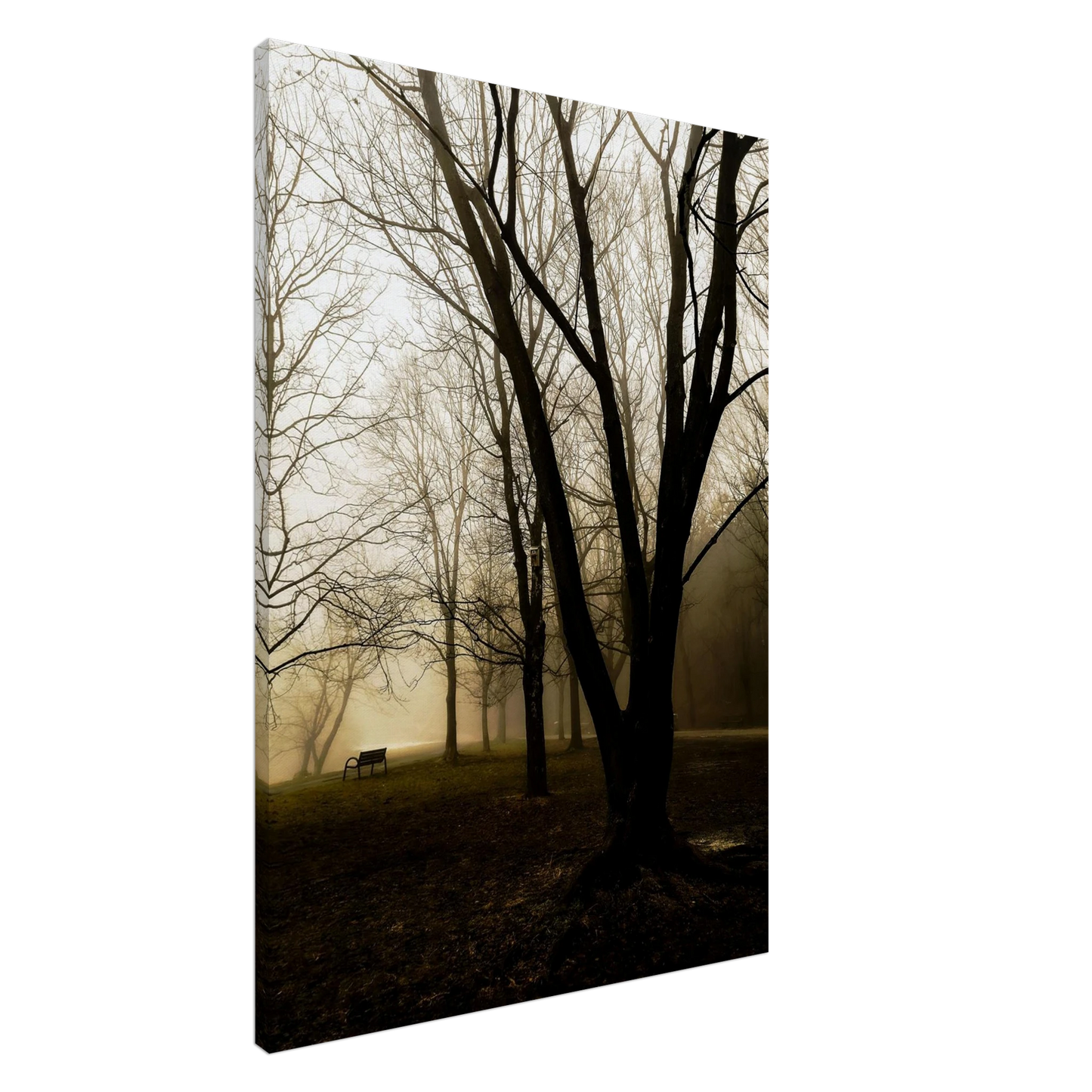 249628ec-e5c9-420d-8e79-a3a193696d5f