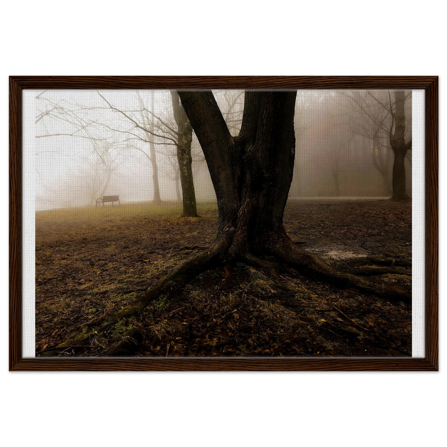 29724bb2-a5c8-4b8e-90e5-4d10a838a5db