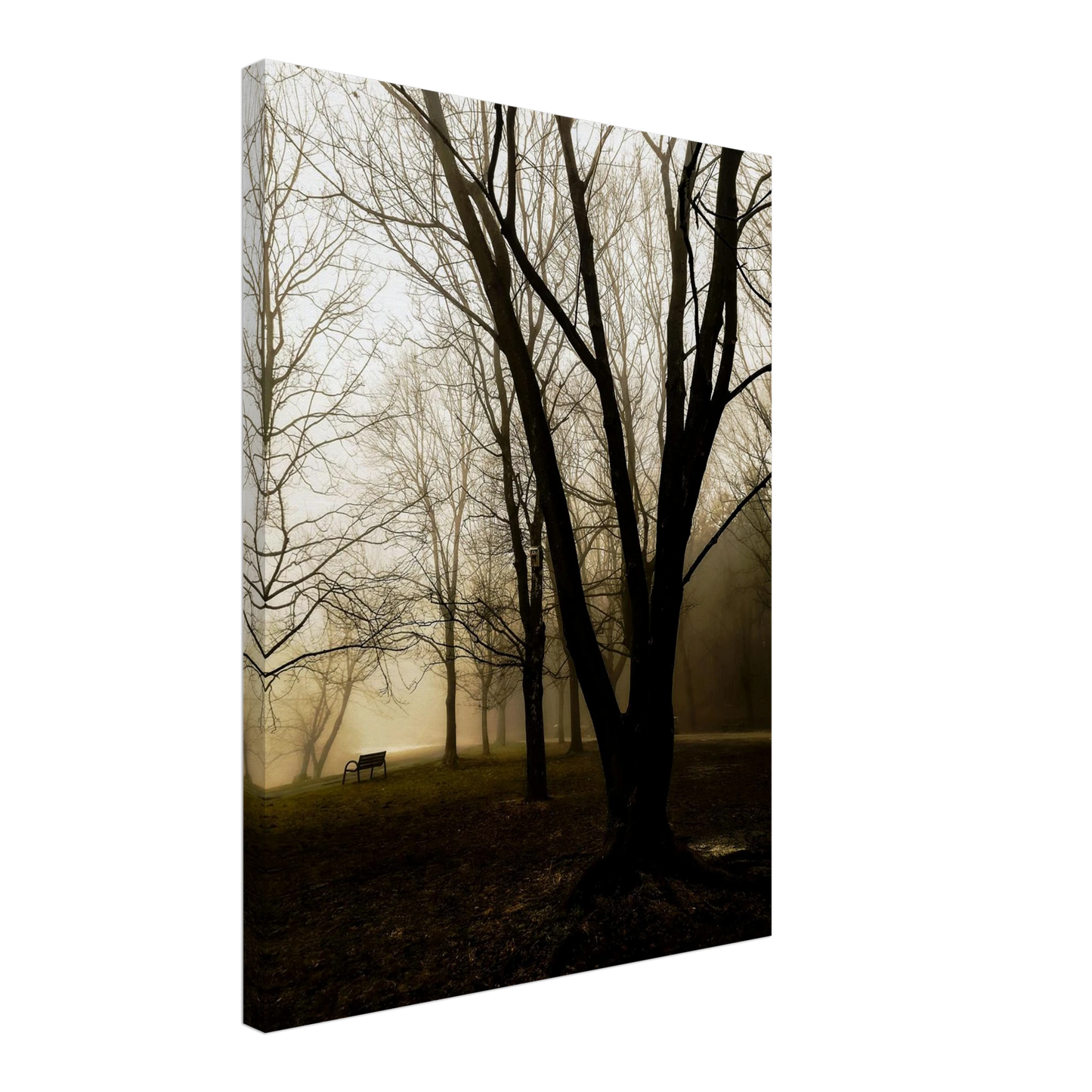 2e892631-ad5a-40b5-bc59-f5cdb22d72f6