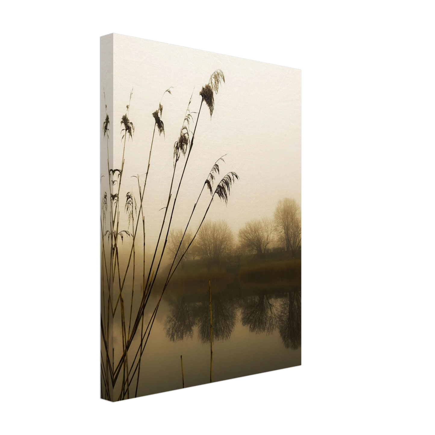 3c8b4318-5f8e-4ca0-9c32-93f774355d00