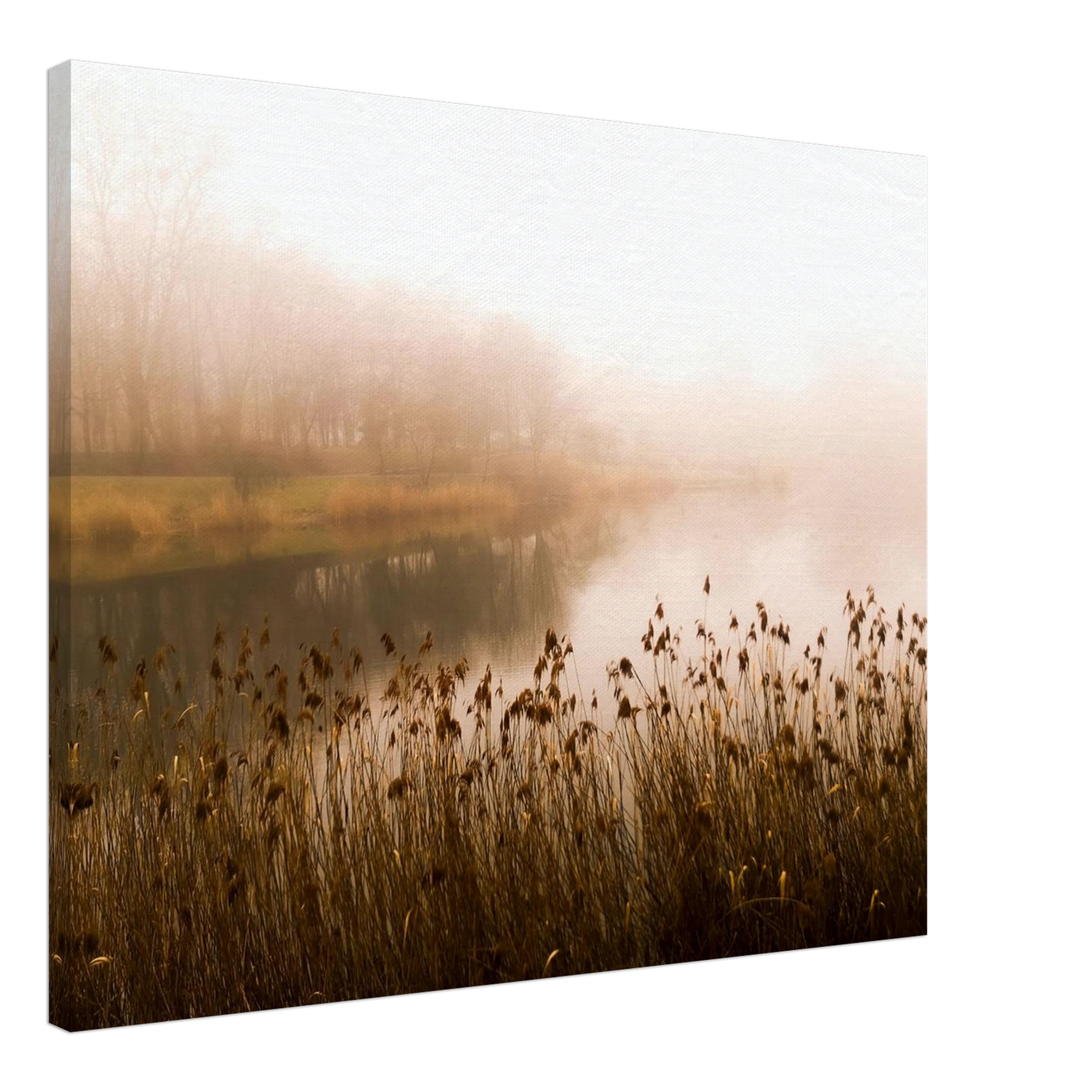 3fead348-04dd-4965-94aa-2d2ad41a27db