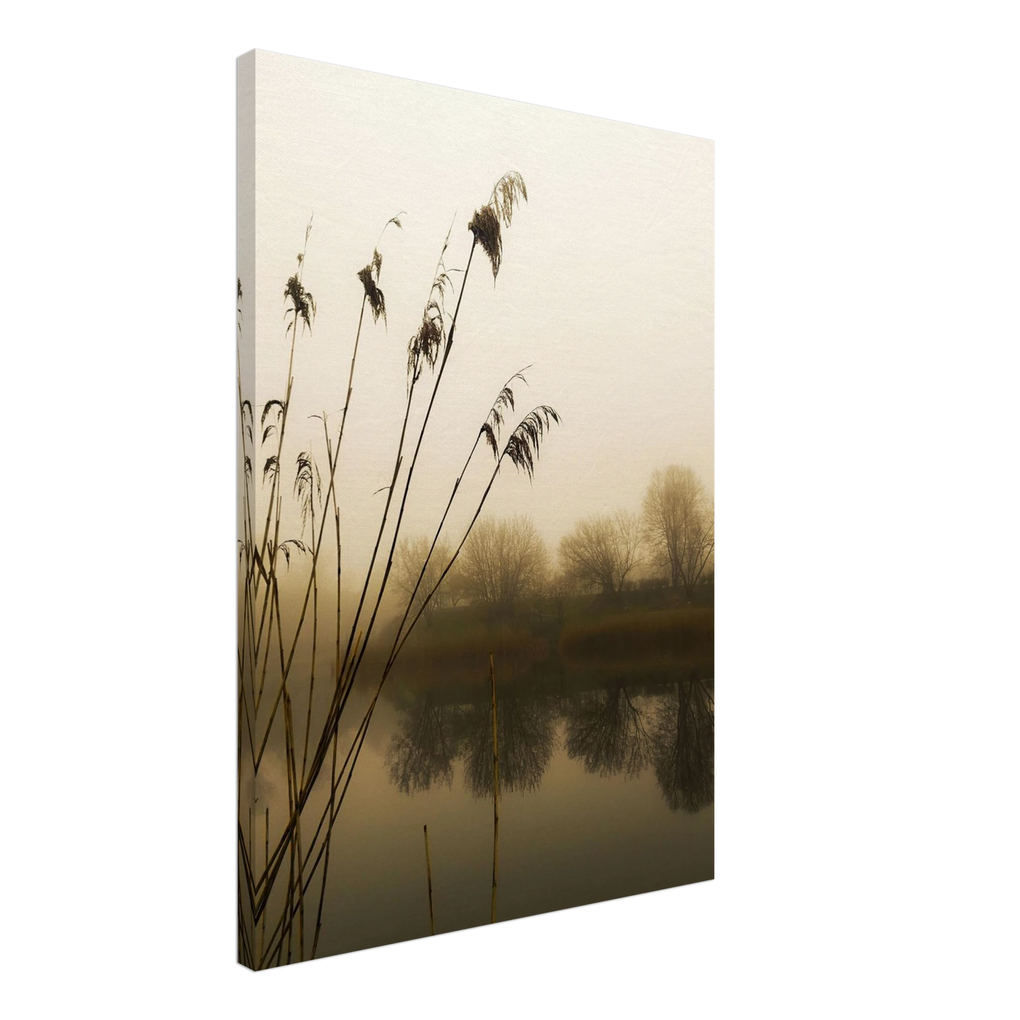 53efb01a-be9a-40a7-87d6-8e0bf558eec4