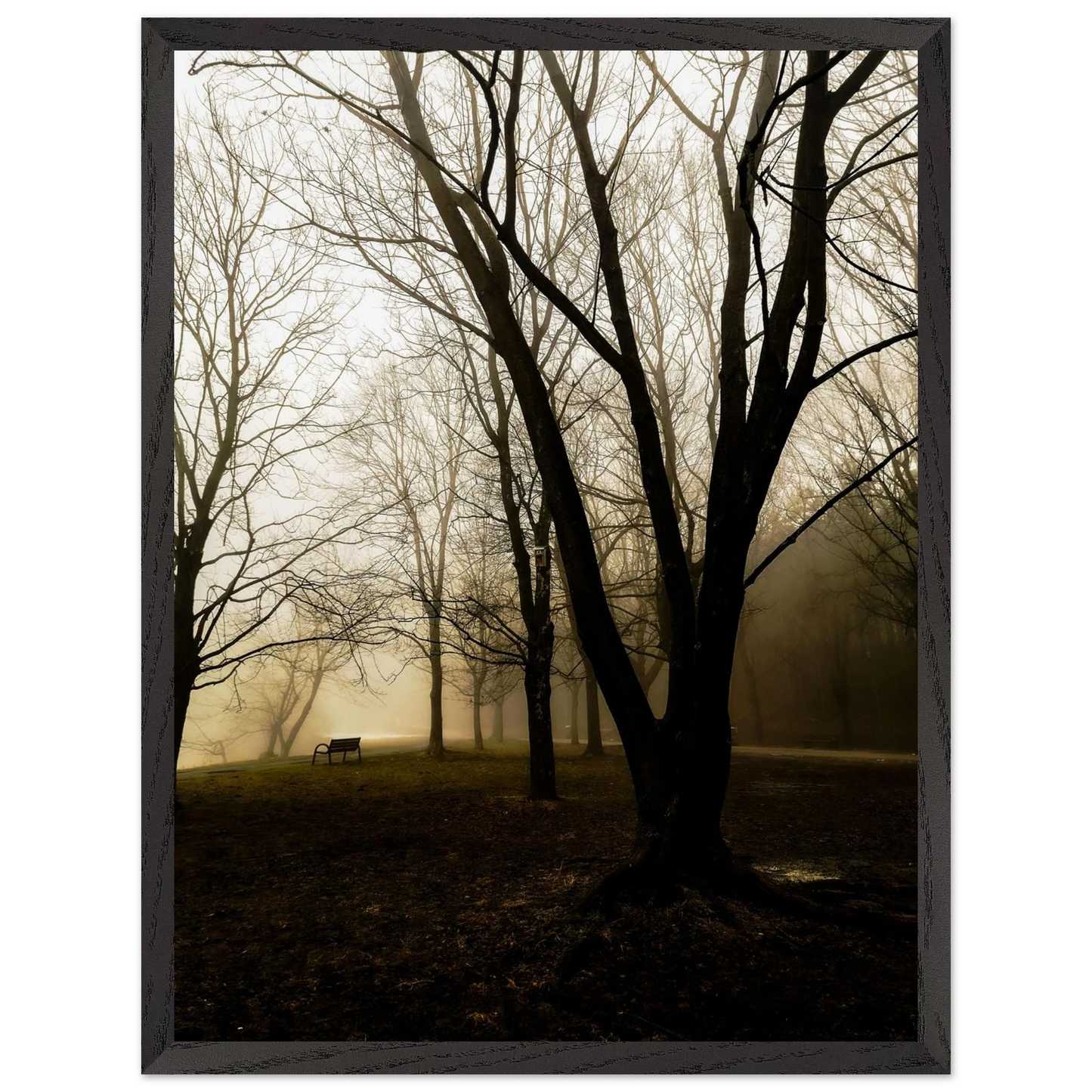 54bf5c95-a9d3-49d0-a236-85ab068b55ca