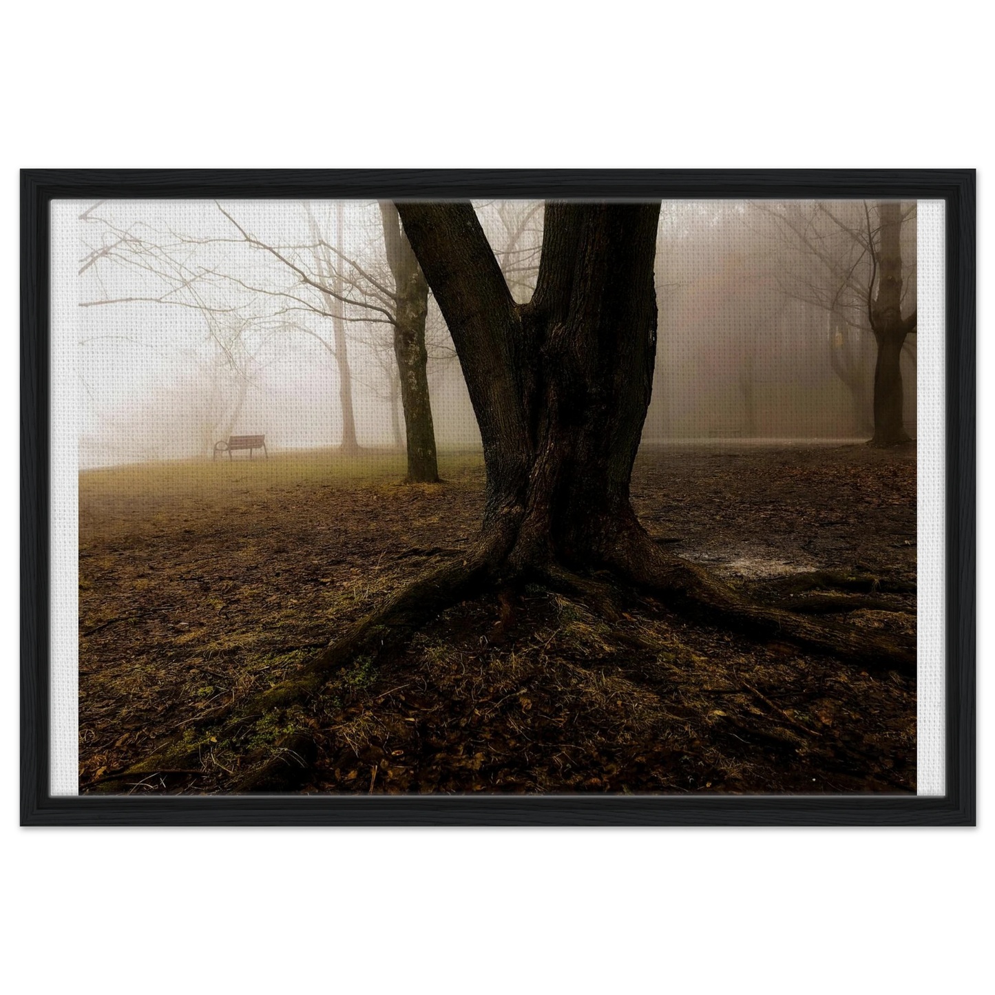 55439933-8057-4fa7-a1de-c42776c47035