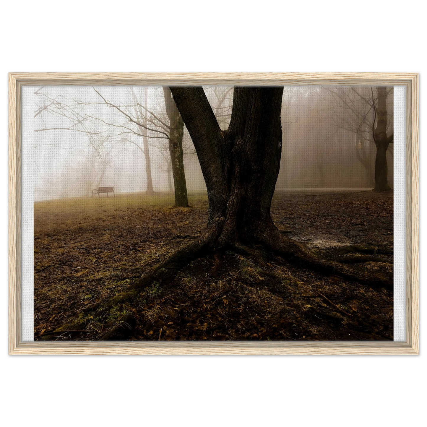 5d99091d-07d4-4eff-855d-1333acfc5d45