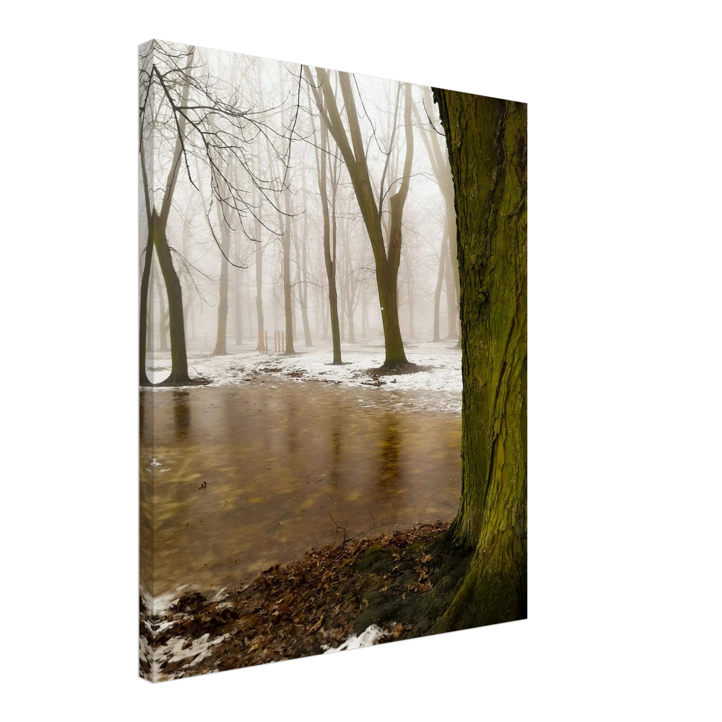 633e752f-18de-4981-8f04-336331ce944d