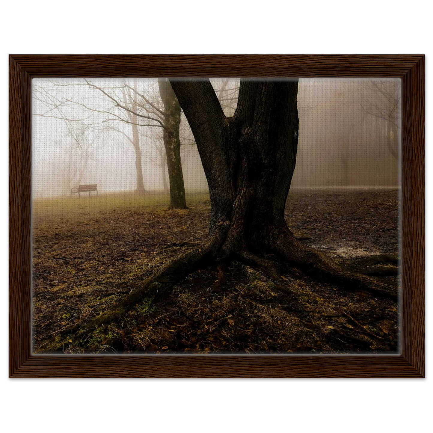 649e30fc-d4b7-46a0-aef3-2ac3e80686e7