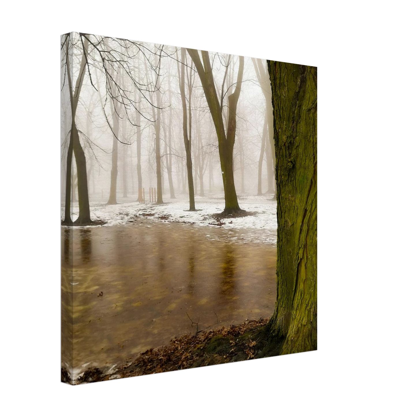 66bbb6fd-41c1-4405-8aa0-2561c74d4dd7