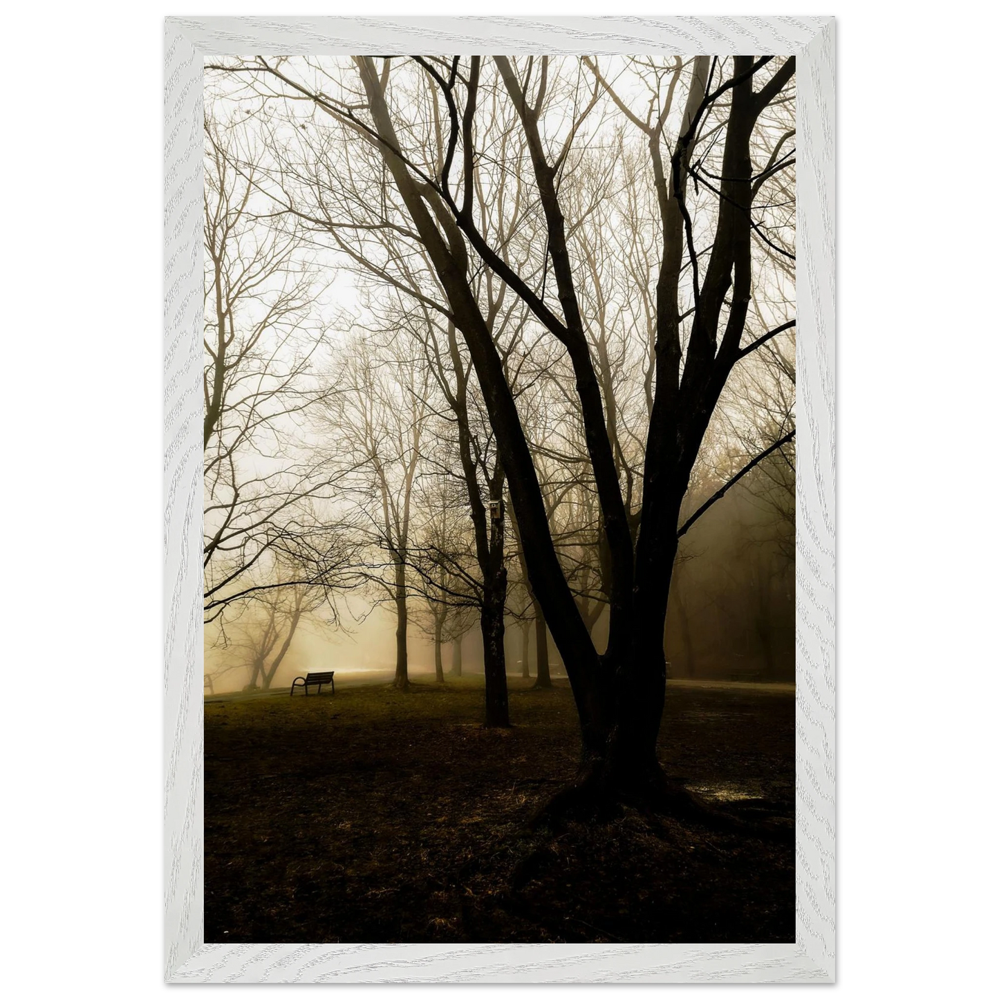 6fe4c068-c69c-49f1-b5f9-e83217f64626