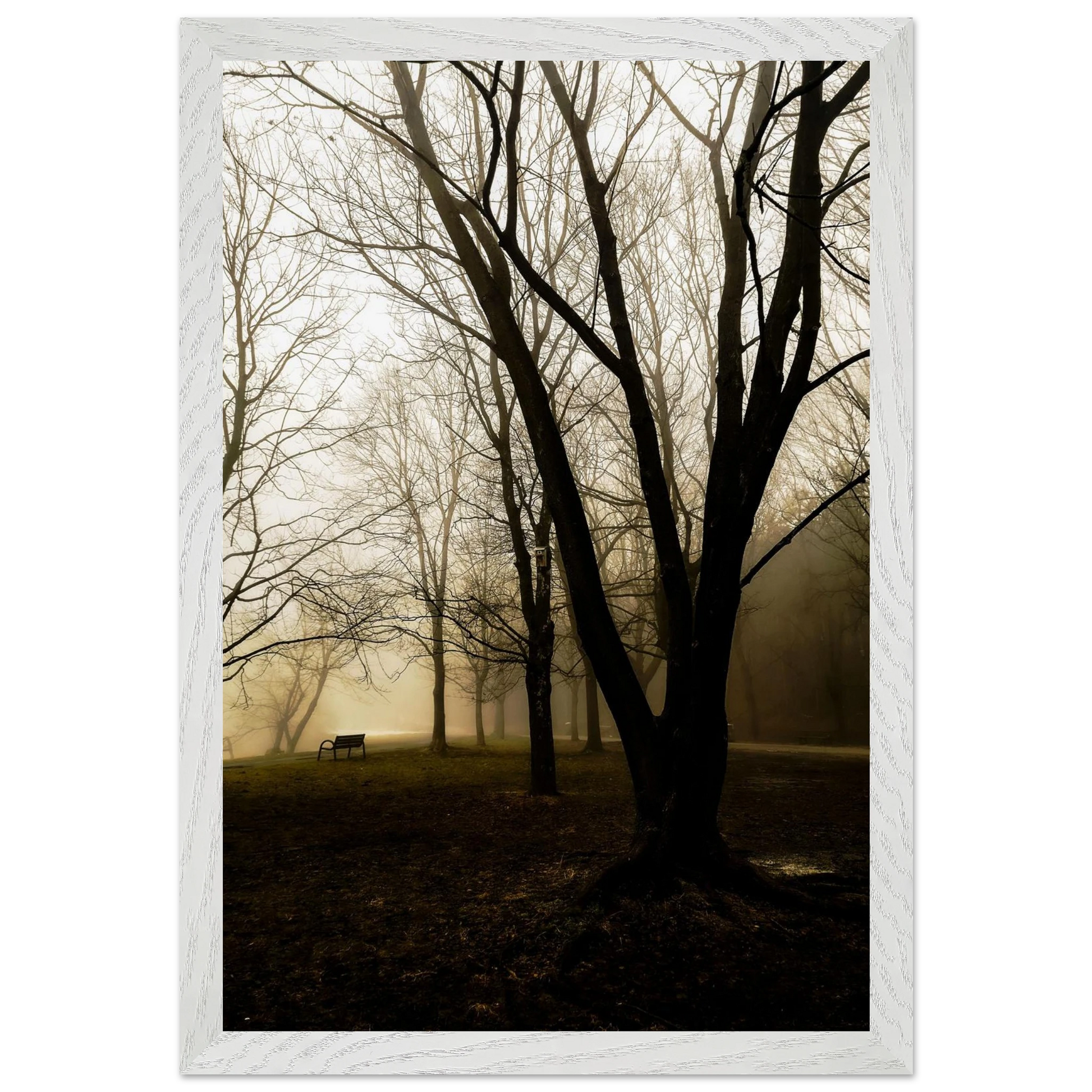 6fe4c068-c69c-49f1-b5f9-e83217f64626