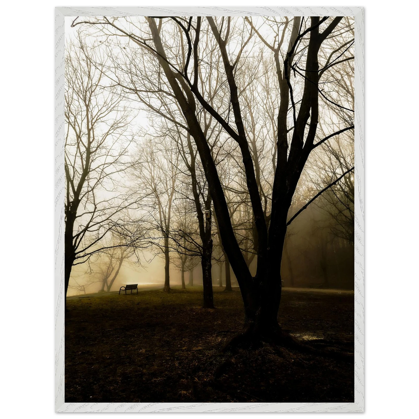 72f76f15-bdb3-455c-9e0a-5b1888f68830