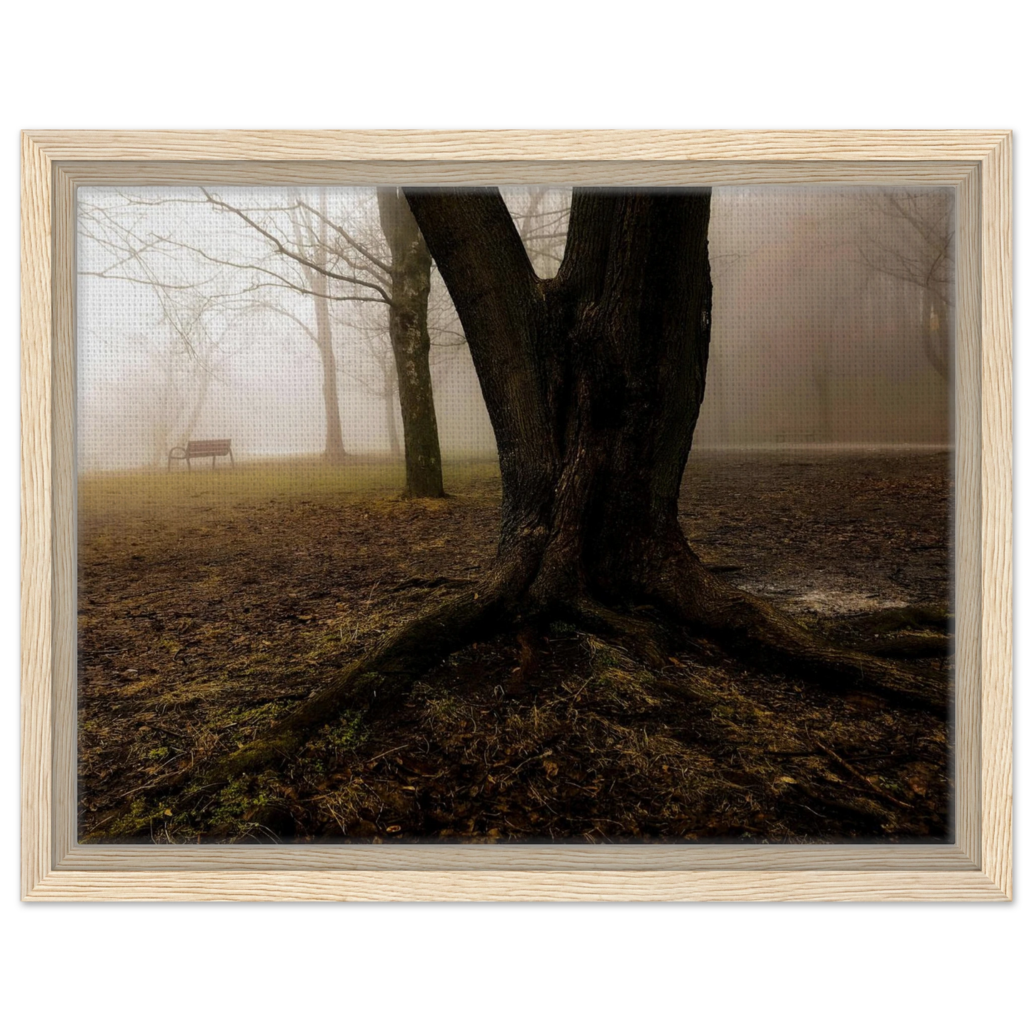 7558636e-86fa-4562-8eb2-d1de1e4d8309