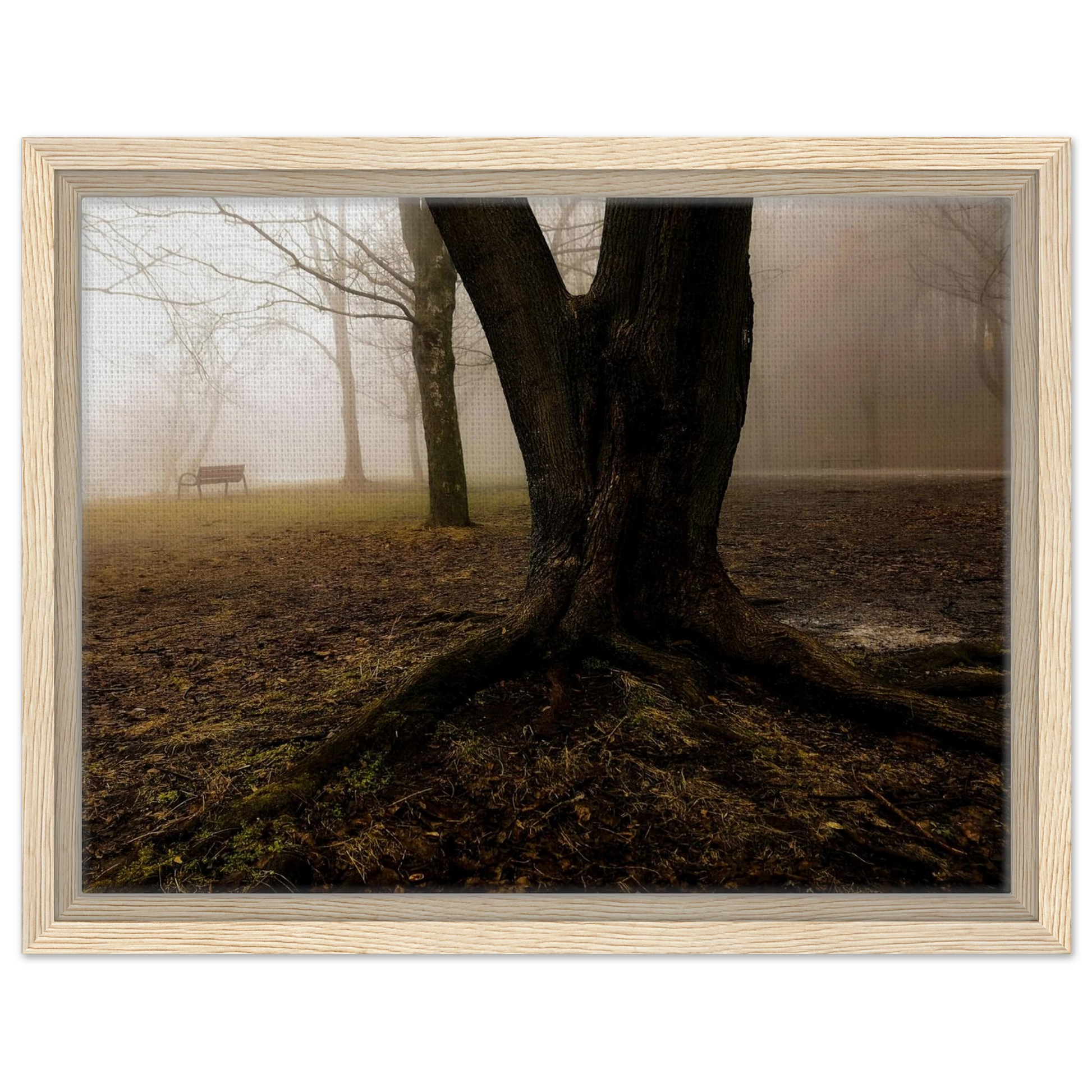 7558636e-86fa-4562-8eb2-d1de1e4d8309