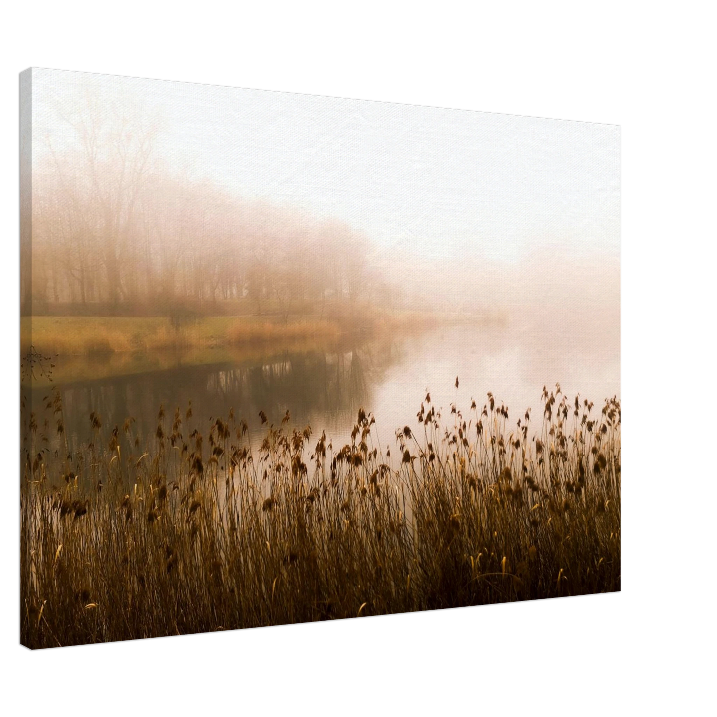 8cce8be0-d5ed-4f87-b80b-16517c4b83b3