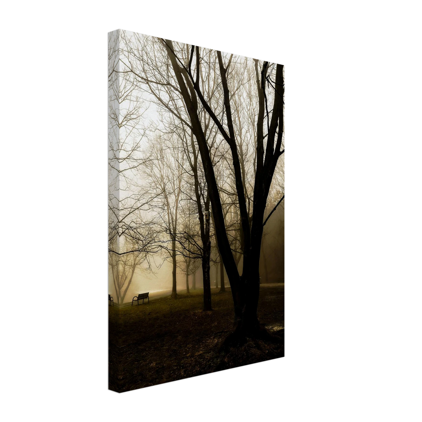 977b1c59-91c2-44d9-af6f-193895995b21