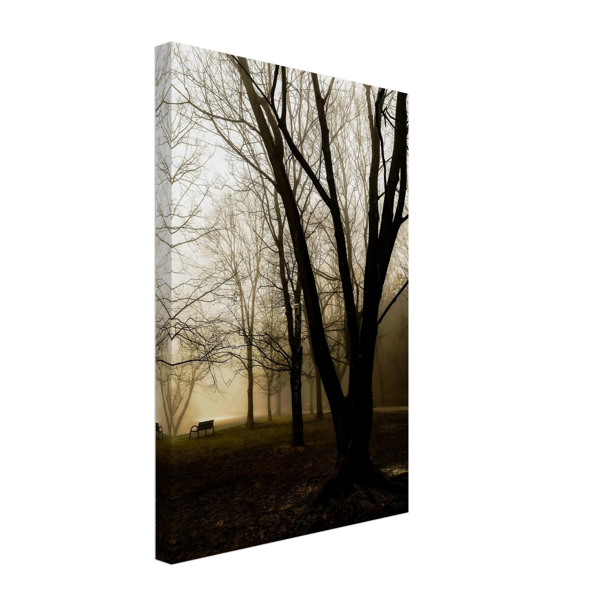 977b1c59-91c2-44d9-af6f-193895995b21