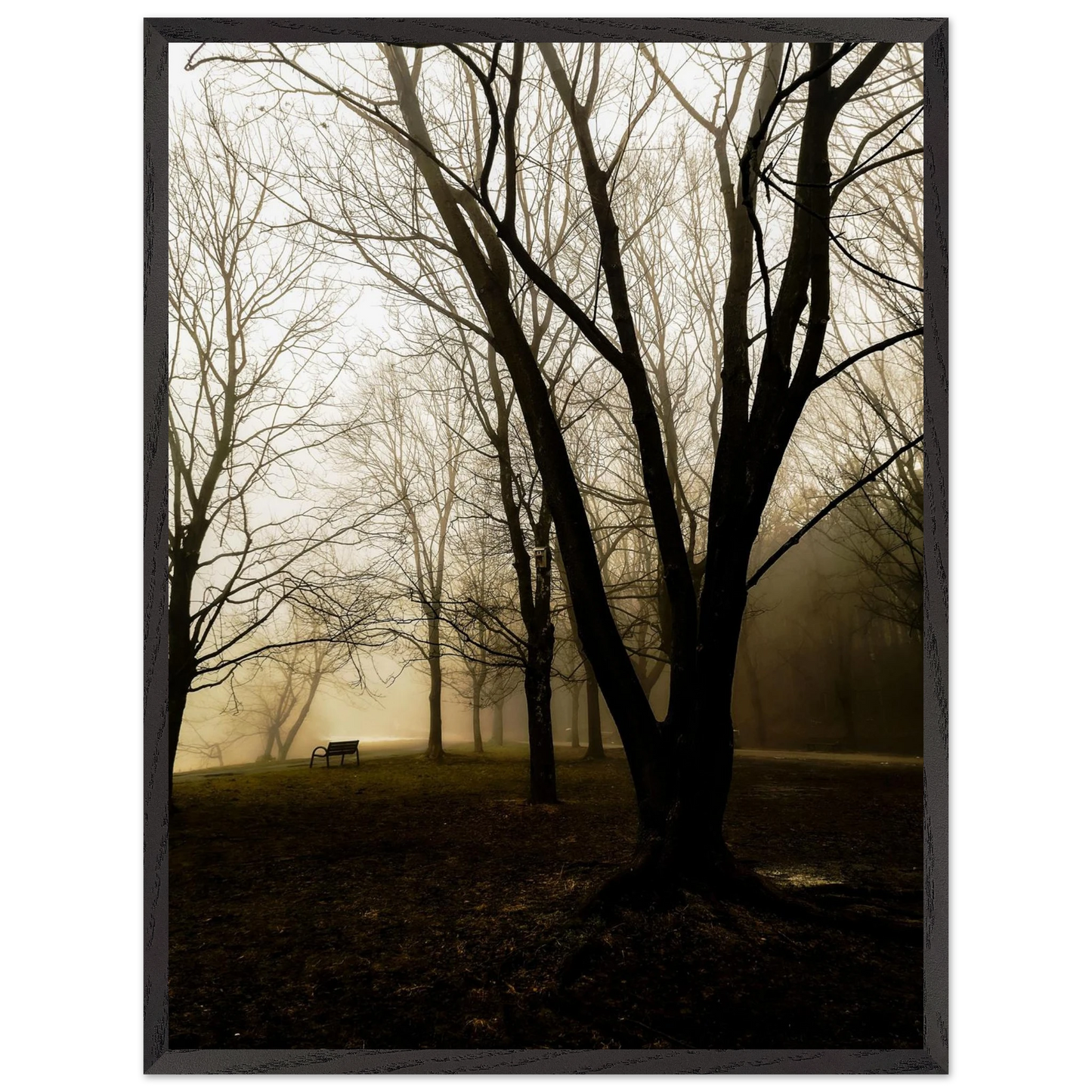 9e5243f7-a478-414d-a66a-3cb3c3b1606b