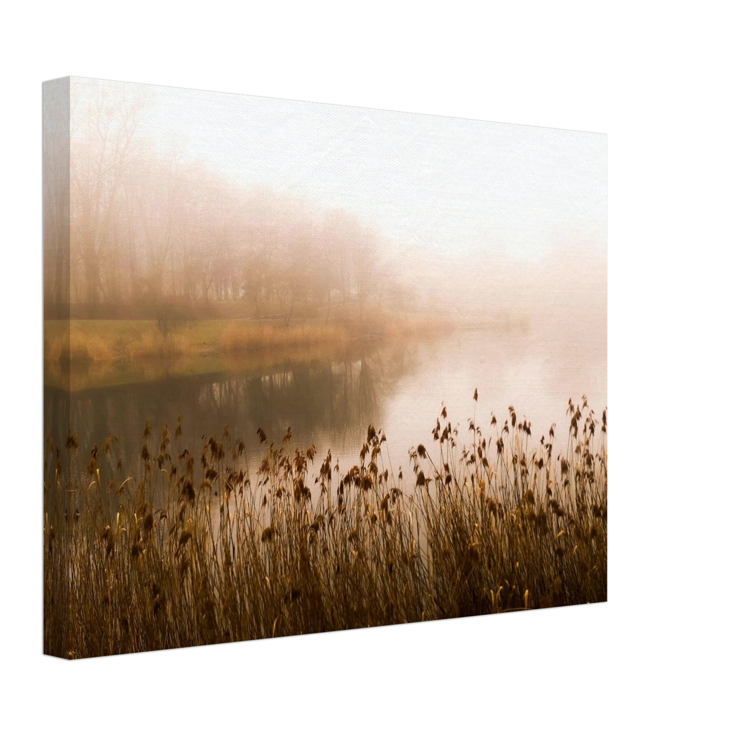 a4518239-5176-4ae1-b9ff-46f6d53c1089