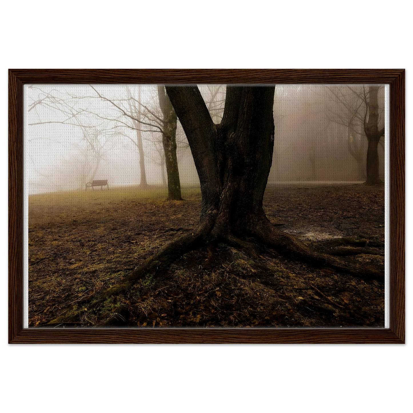 a4e17835-cfe8-403b-ac2d-865dc9a49300