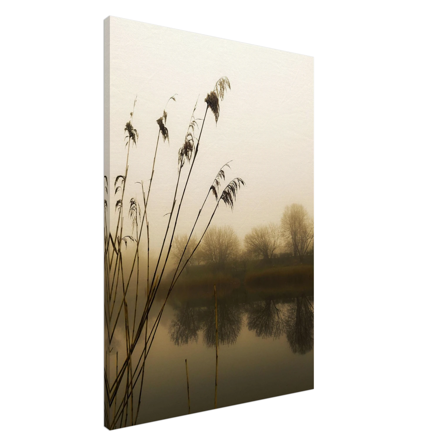 abce3a50-c120-4671-9159-c566ebe20978