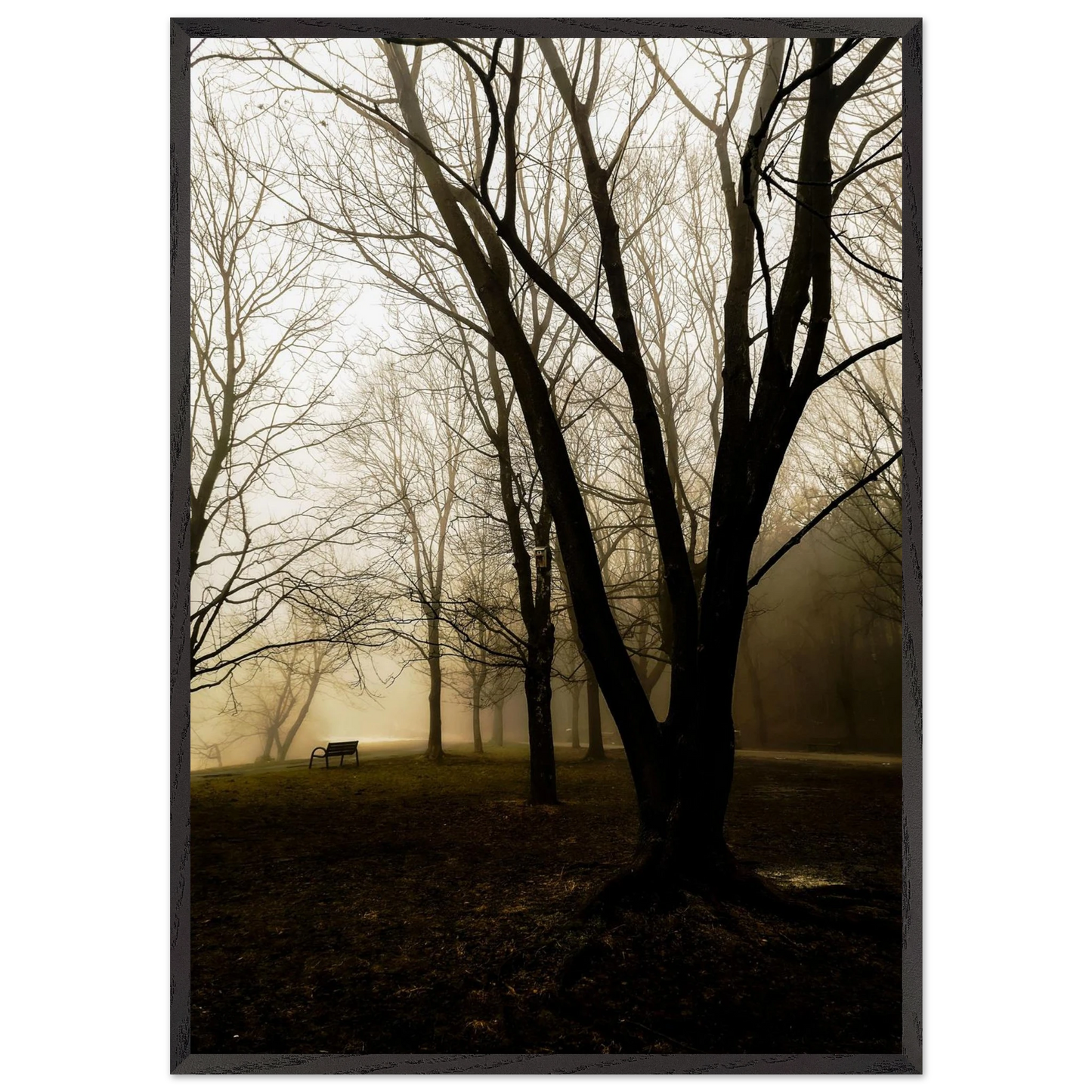 b5ef70e6-7205-493a-9af7-acd97955c8b1