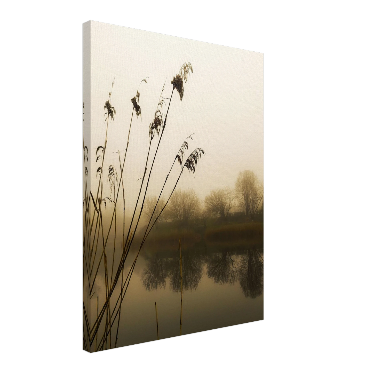 c30c9692-8d8e-4664-a2b8-abce0430de7d