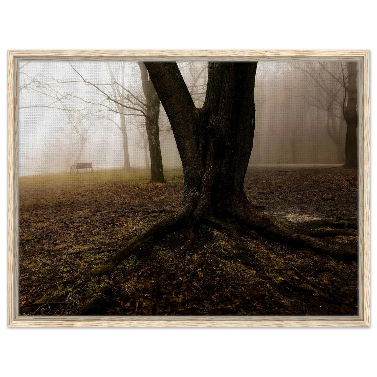 ce9079b1-1941-4b69-8862-cf0bd20dc77d