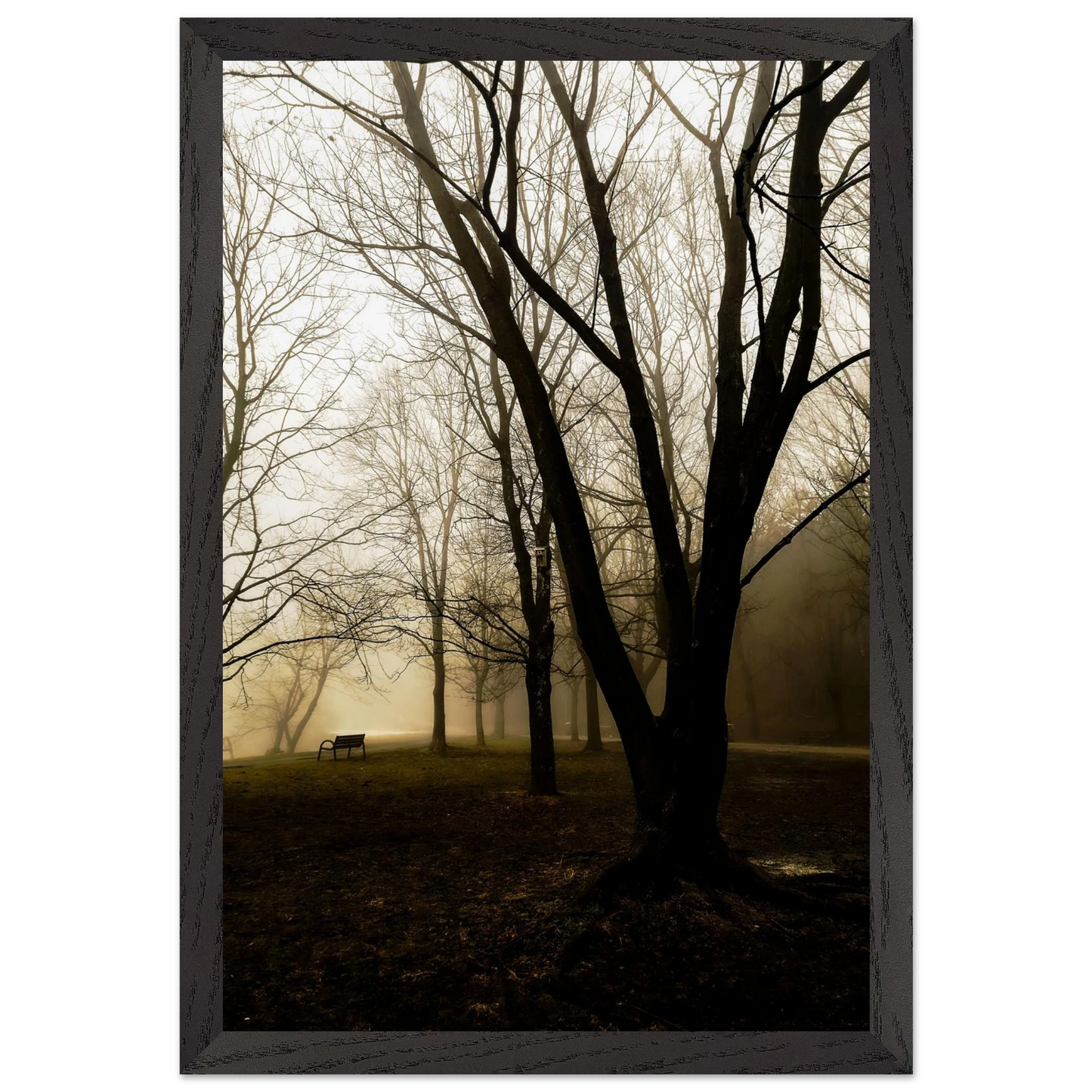 d056f6f6-5f89-40e7-9373-f03bbb6ea0d5