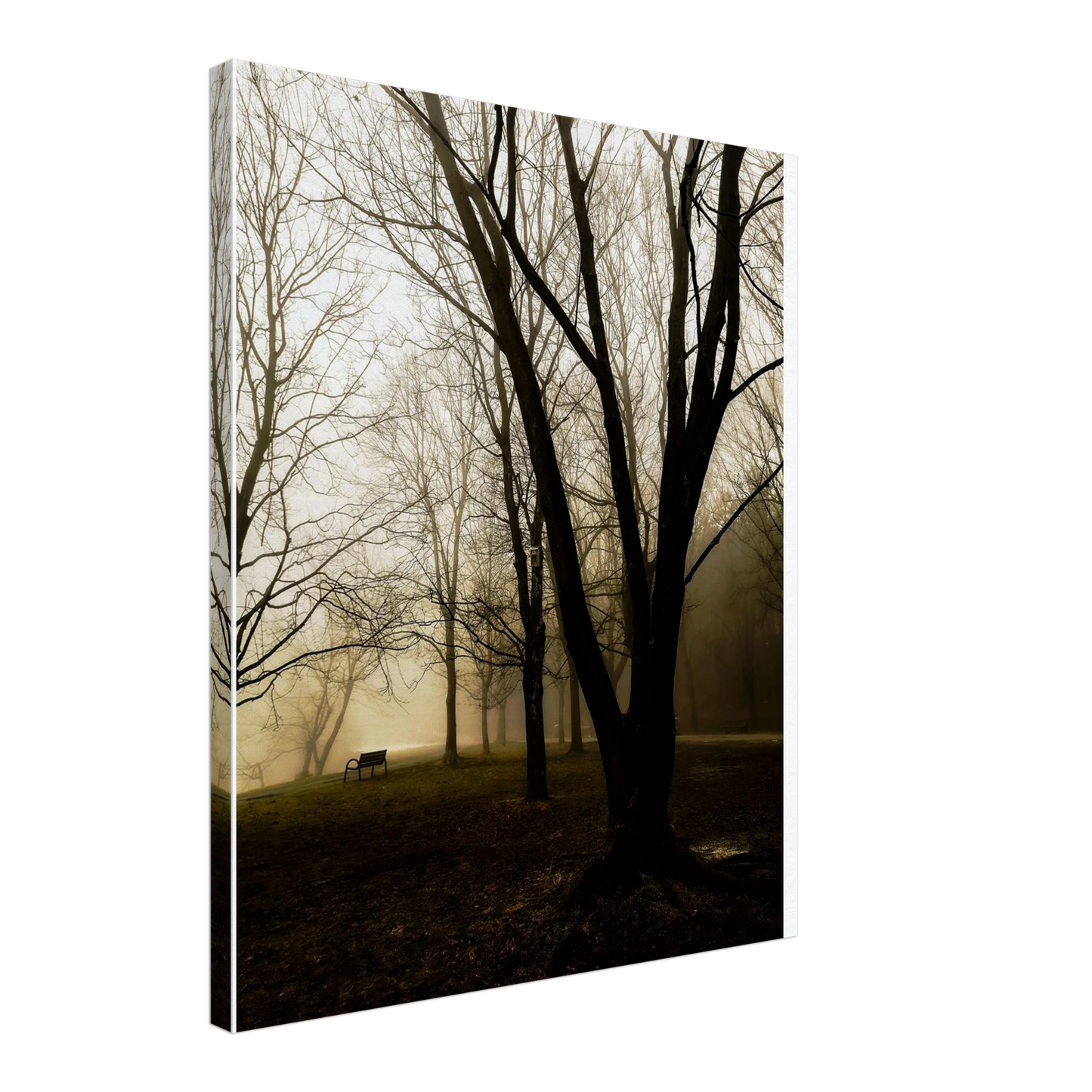 d863fbf4-d6c4-429b-8189-c58f028f277e