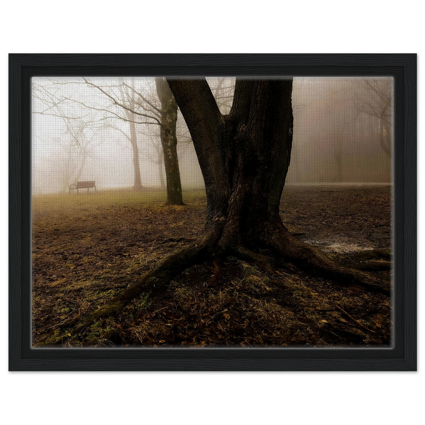 d8c36fa4-817b-45b9-a92d-357154025968