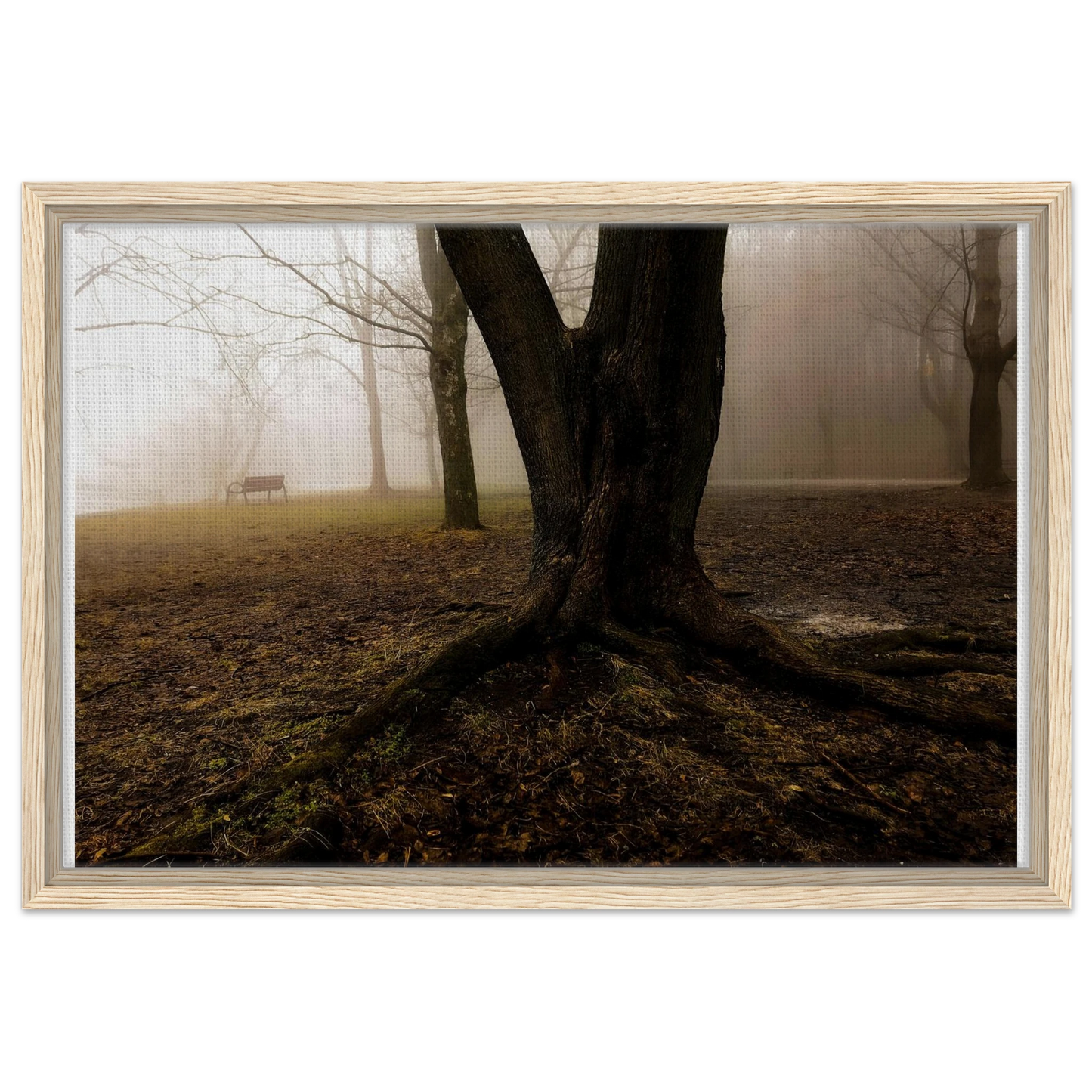 e7b1a889-9269-4019-9b64-031df50780e6