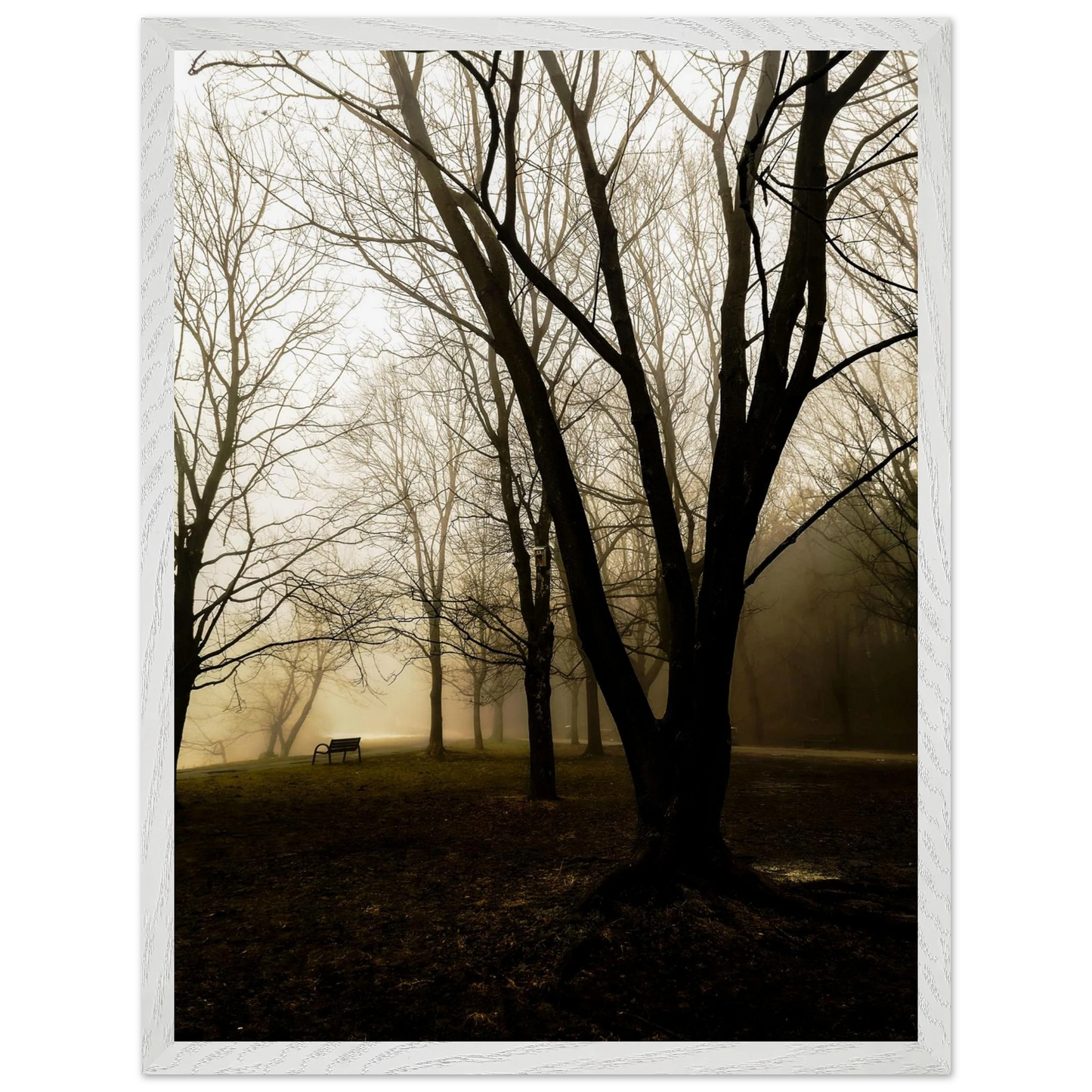 ec8153f5-32ba-4aa0-9305-247b30cbee74