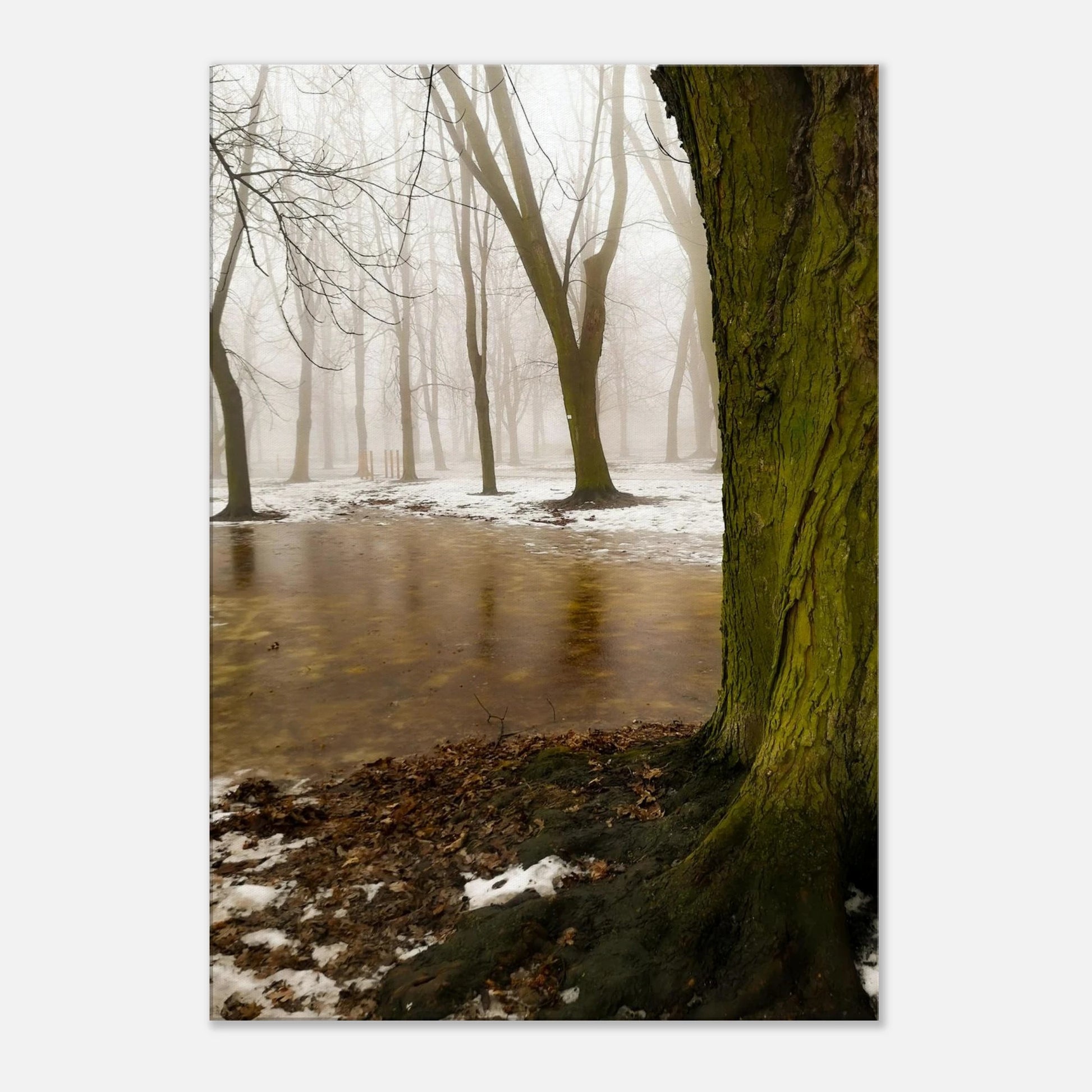 edd2a823-fb39-4eb0-b29a-64a7bfc37fa5