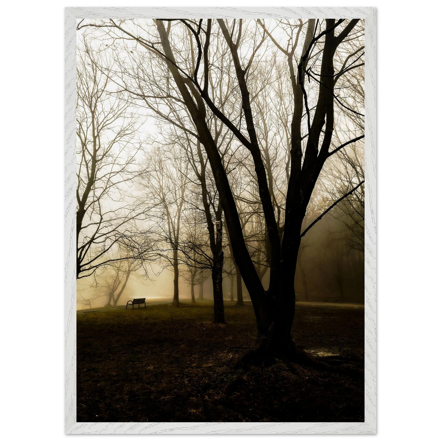 efbe655d-4431-476a-9800-5b33936f5d69