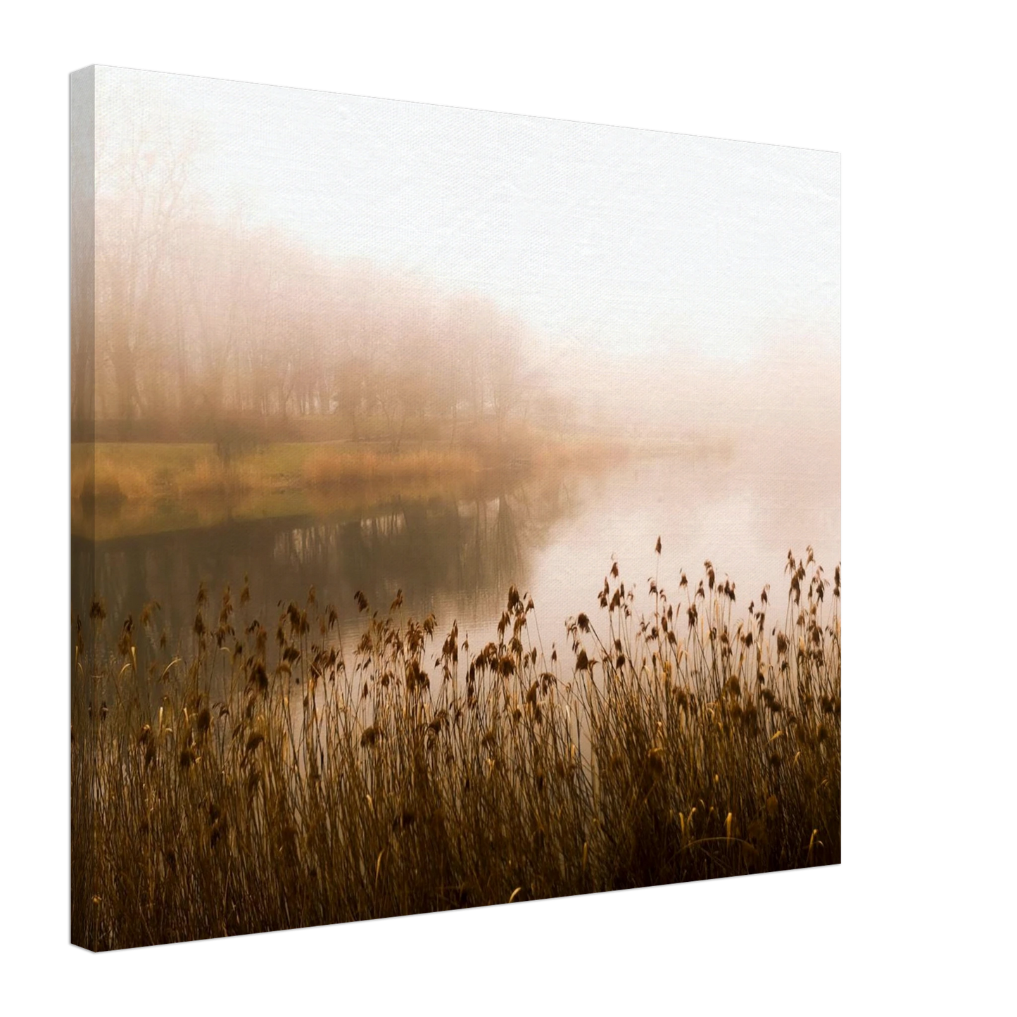 f848c4d1-9405-460a-a4b4-b1af9b3cb9d6