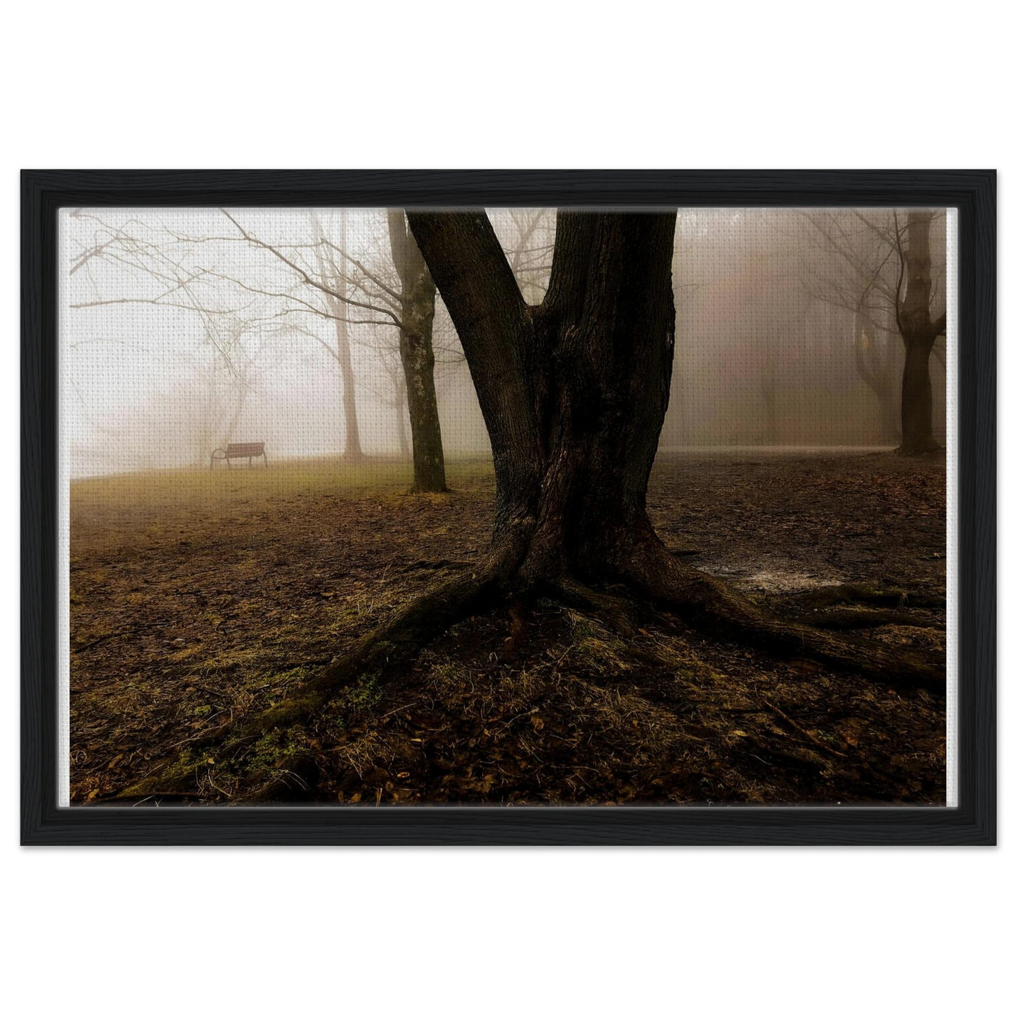 fbaed36a-67de-4d5a-8e1f-c2eaed461e3b