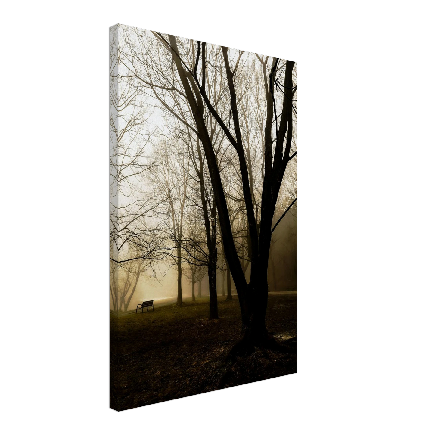 fc86976f-cdb3-4b42-aea2-029c5879d417